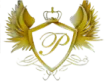 Airport Executive of Palm Beach logo