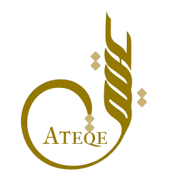 Ateqe project