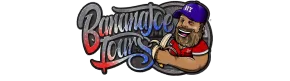 Banana Joe Tours logo