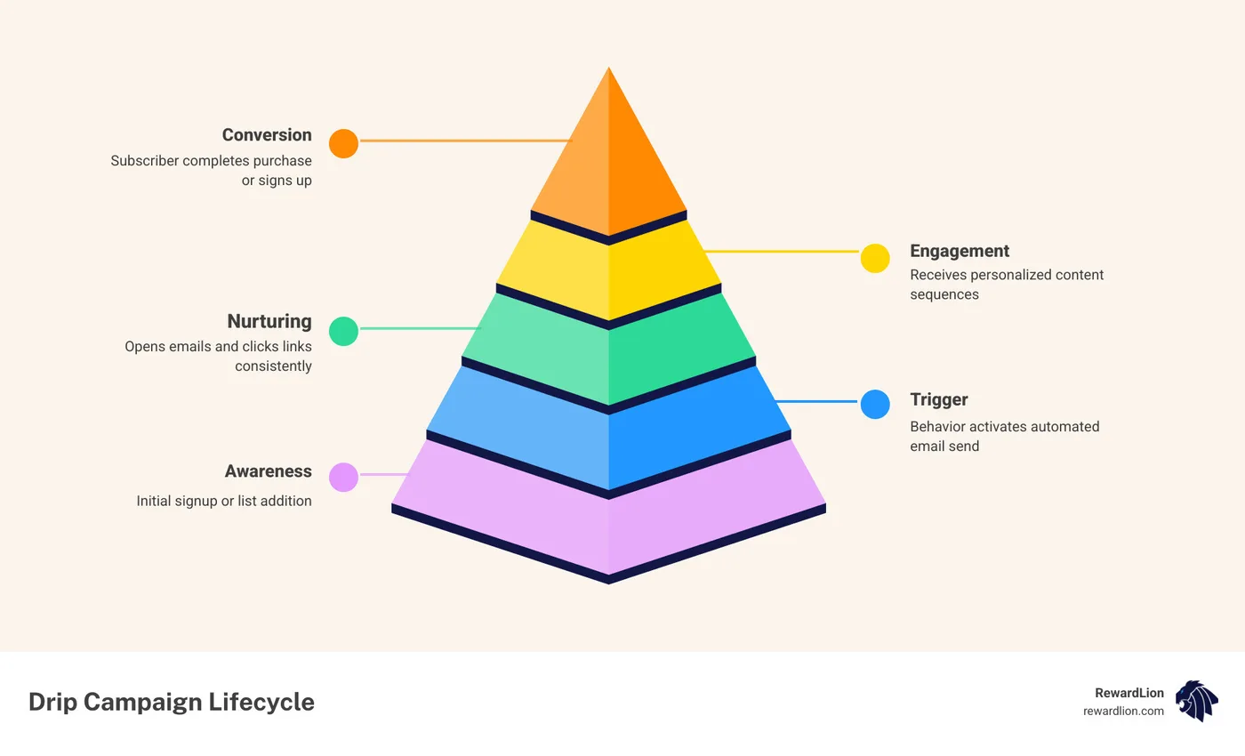 Lifecycle of a drip email campaign from trigger to conversion with key stages - drip email marketing software infographic